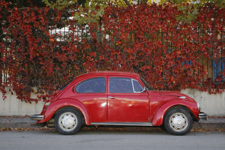 Vintage red car parked in the street with autumn leaves in the background