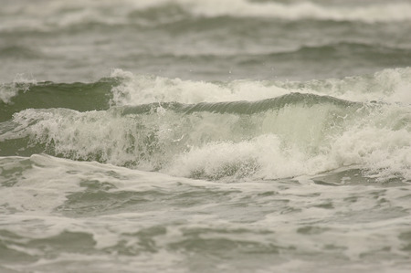 Crushing Surf