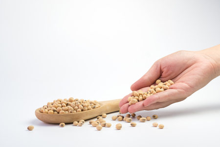 Soy bean in spoon an on hand on isolatedの写真素材