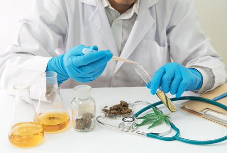Marijuana research in the lab