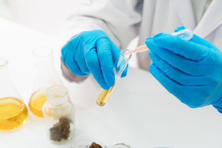 Marijuana research in the labの写真素材