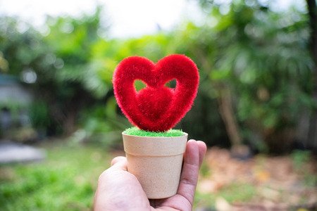 Hand holding a red heart on Valentine's Day.の写真素材