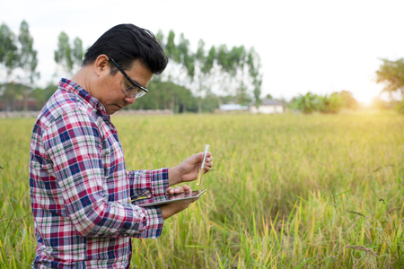 Faculty of Engineering holds a lot of rice oil research on rice fields.の写真素材