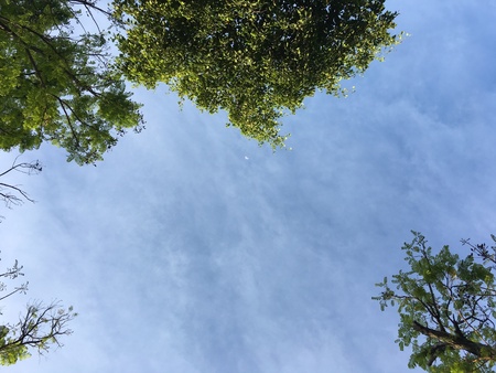 Blue sky on sunny dayの素材