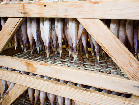 Japanese traditional dried fish