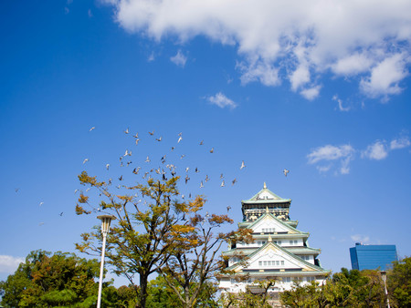 Osaka castle with bird in the skyのeditorial素材