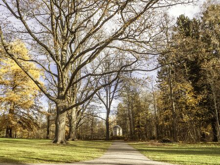 A footpath leading to a gazebo in a park in Helsinki, Finland, golden moment in the autumn natureの写真素材