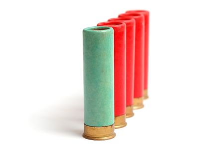The hunting cartridges of 16 calibres on the white