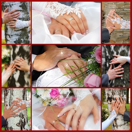 Collage from wedding photos. Nine in oneの写真素材