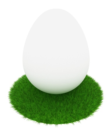 Egg in the green grass isolated on white backgroundの写真素材