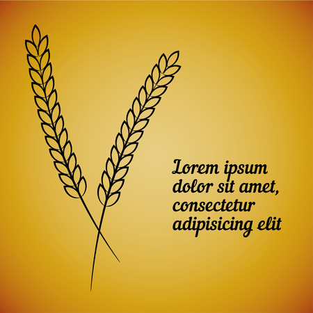 Two vector wheat ears on yellow background. Element for the menu, restaurants, bakery and beer pubのイラスト素材