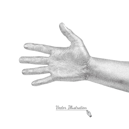 Vector male hand in style it is black and white engraving over whiteのイラスト素材