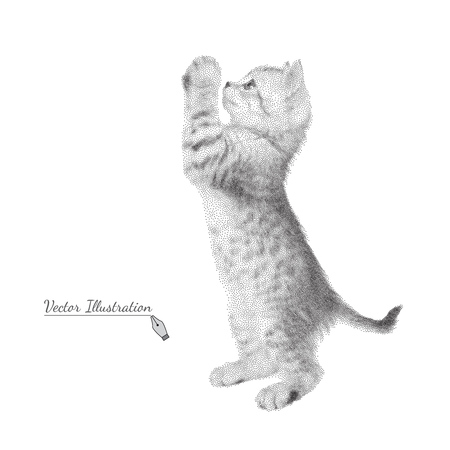 Gray kitten costs on legs. のイラスト素材