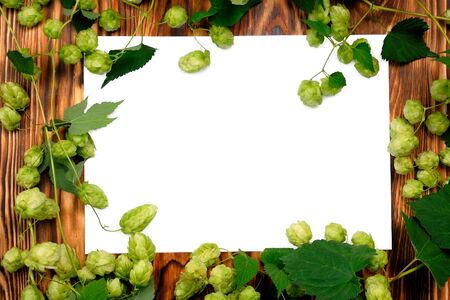Wooden Board With Blank Sheet For Your Inscription, Frame Of Green Hop. Background For Festivals Of Beer.の写真素材