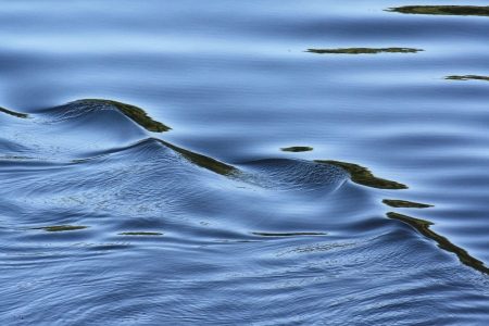 Waveの写真素材