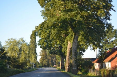the Russian Kaliningrad roadの写真素材