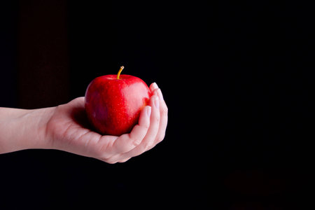 An red apple holding in handの写真素材