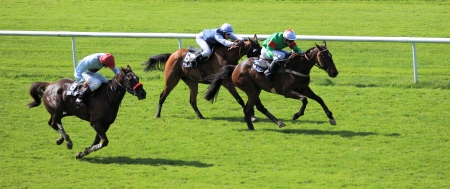 horse racingのeditorial素材