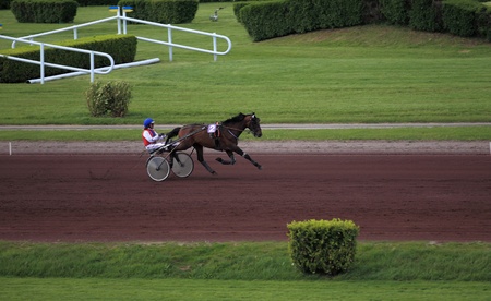 horse racing