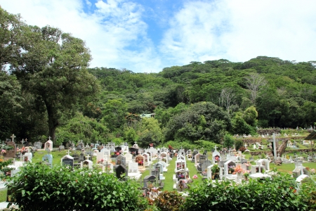 creole cemeteryのeditorial素材