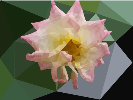 Pink flower illustrationのイラスト素材