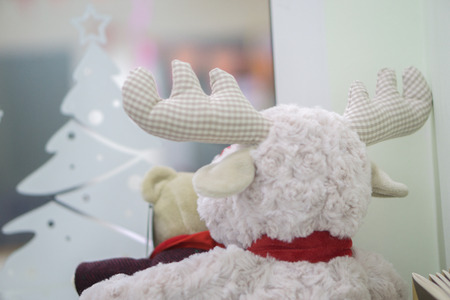 Moose & Bearの写真素材