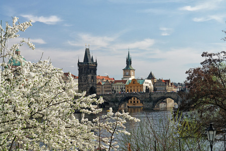 The famous Charles Bridge The Old Town Bridge Tower started in 1357 under the auspices of King Charles IV, and finished in the beginning of the 15th century. Spring foro from Vltava sideの写真素材