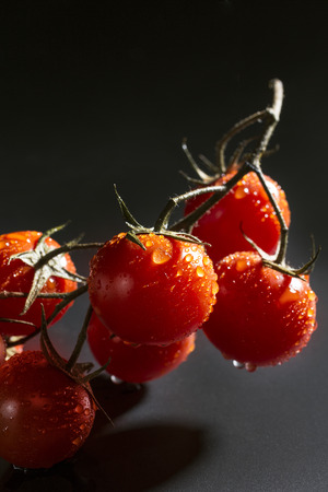Tomatoes on vine on black background.の写真素材