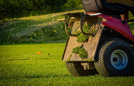 Lawn mower cutting grass in the garden. Gardening concept.の写真素材