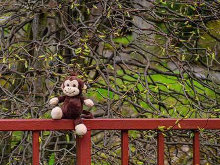 A toy monkey sits on a red fence in the park on a spring day.の写真素材