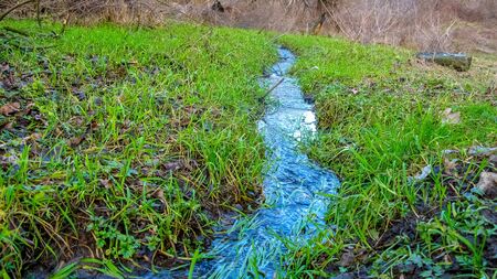 Scenic view of a crystal clear little stream. Green young grass along the banks of a small stream. Forest stream close-up.の写真素材