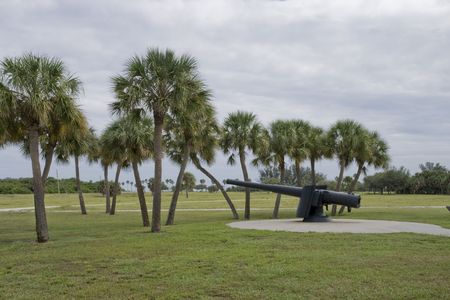 heavy rifle / cannon with palm treesの写真素材