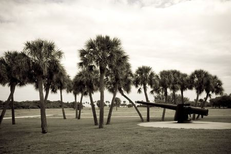 Sepia toned olds time  grainy photo of a heavy rifle / cannon with palm treesの写真素材