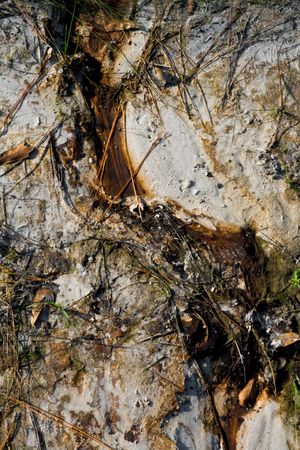 Dried stream that left a rusty stain where it once ran.