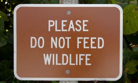 Sign warning not to feed the wild lifeの写真素材