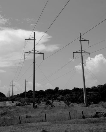 Black and white image of power linesの写真素材