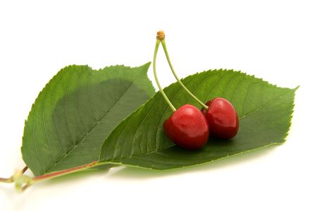 cherries on the leaf