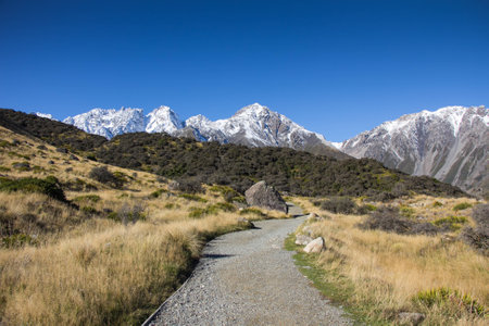 Panorama road to snow mountain in winter and yellow meadow, field and clear sky