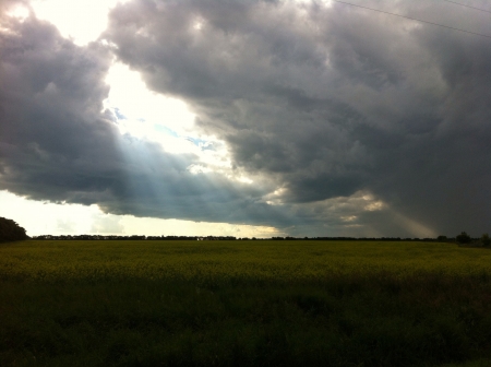 The sun putting in gleams of effort to get through to the darkened land.の素材