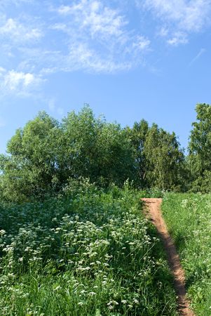 Foot on green hill in summer day