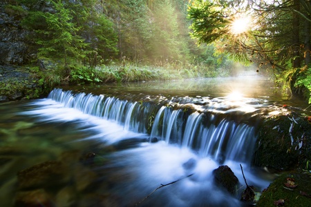 River stream with rocks  in forest.の写真素材