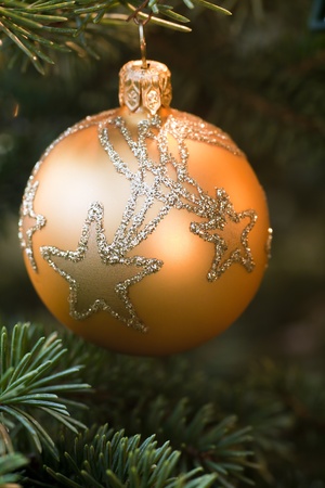 Golden christmas ball on treeの写真素材