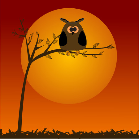 The full moon and owl.のイラスト素材