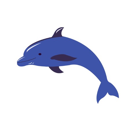 dolphinのイラスト素材