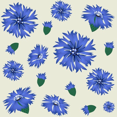 Cornflowers のイラスト素材
