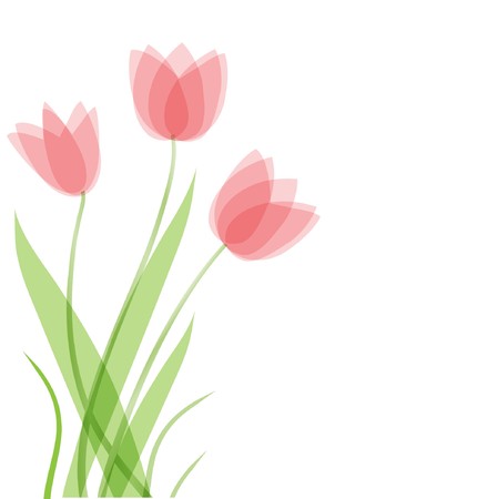 Tulip flowers.  card のイラスト素材
