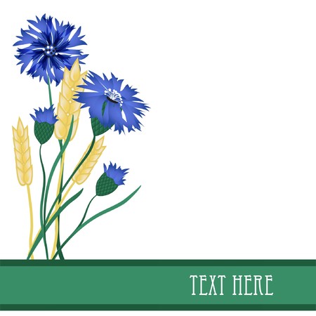 Cornflowers and wheat のイラスト素材