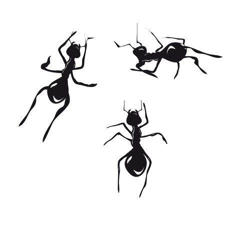 Ants の写真素材