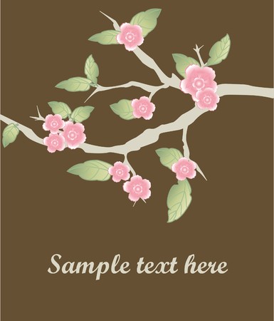 Sakura branch. の写真素材