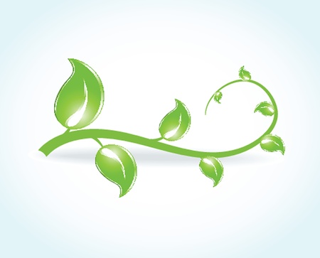 Green leaves and butterflies  Ecological  の写真素材